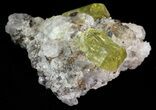 Apatite Crystals with Quartz & Magnetite - Durango, Mexico #64013-3